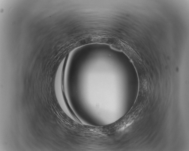 X0000087400914200704201303