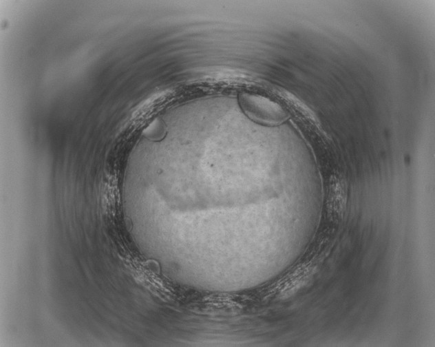 X0000087400918200704201303
