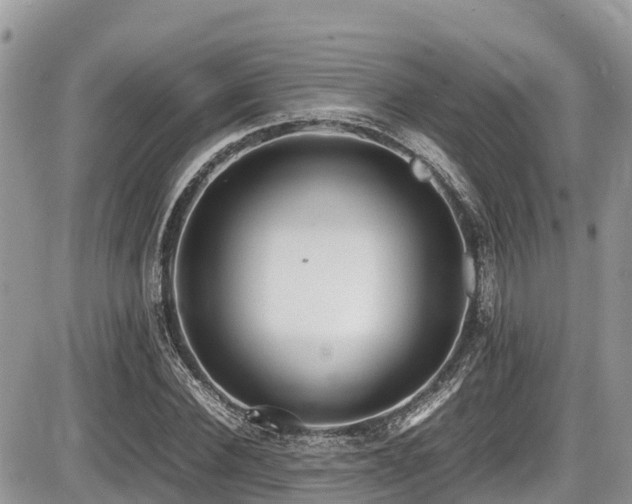 X0000087400924200704201303