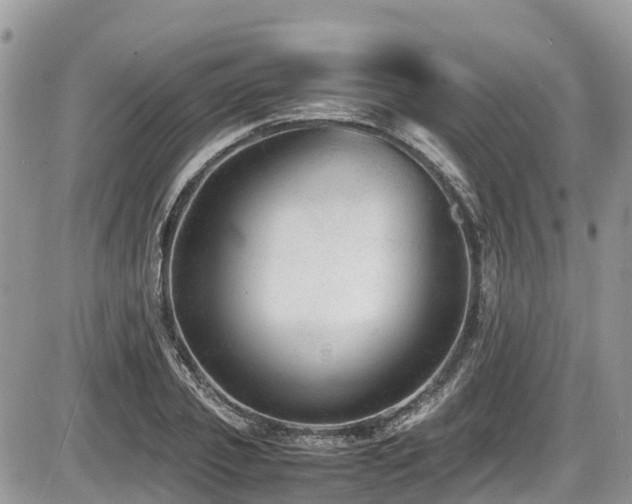 X0000087400933200704201304