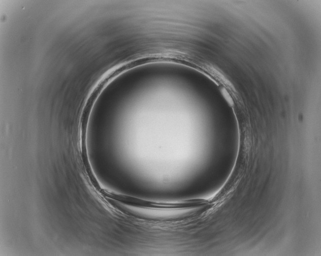X0000087400940200704201304