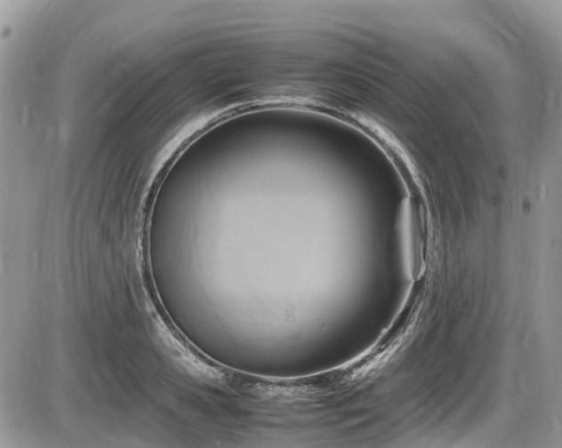 X0000087400941200704201304