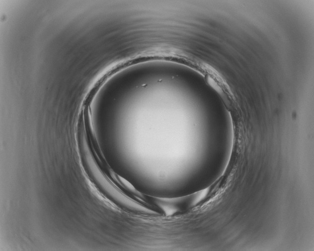 X0000087400942200704201304