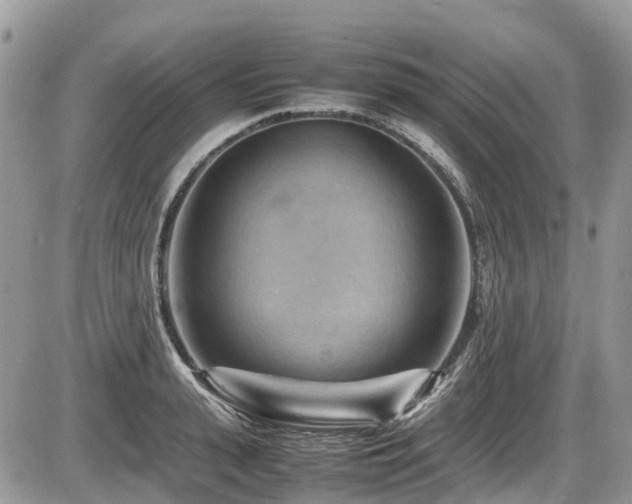 X0000087400943200704201304