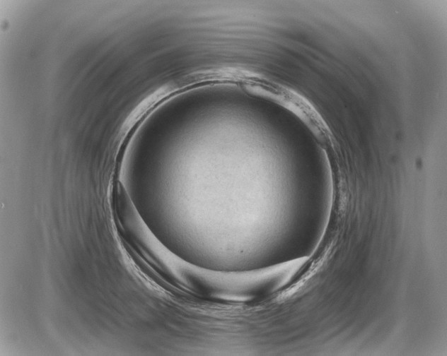 X0000087400946200704201304