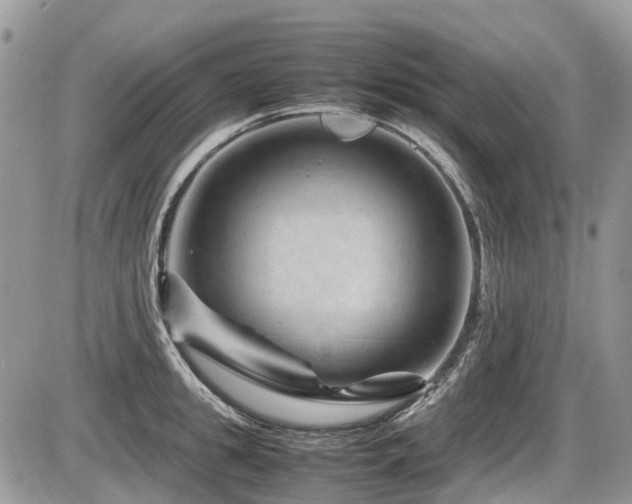 X0000087400949200704201304