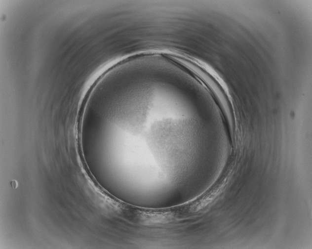 X0000087400951200704201304