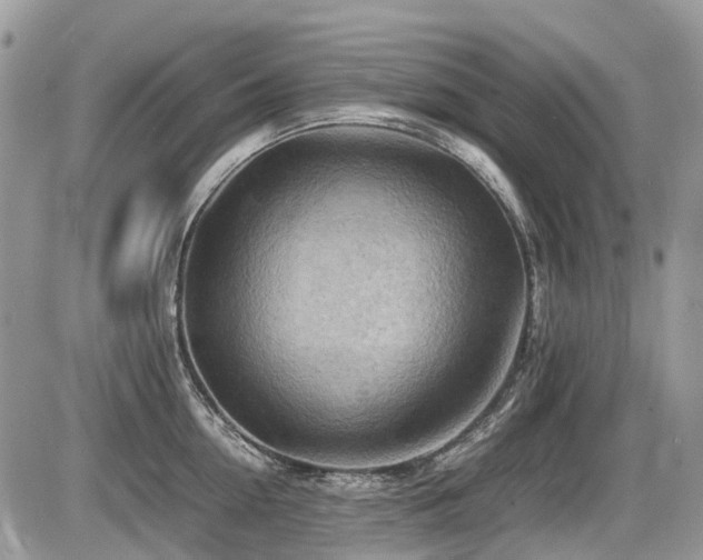 X0000087400954200704201304