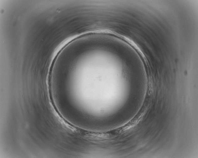 X0000087400959200704201304