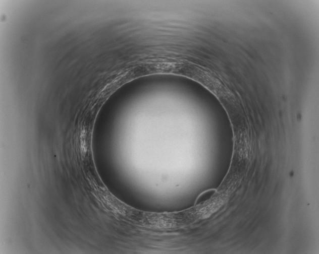 X0000087400962200704201303
