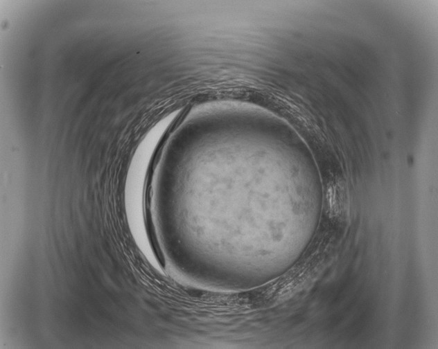X0000087400963200704201303