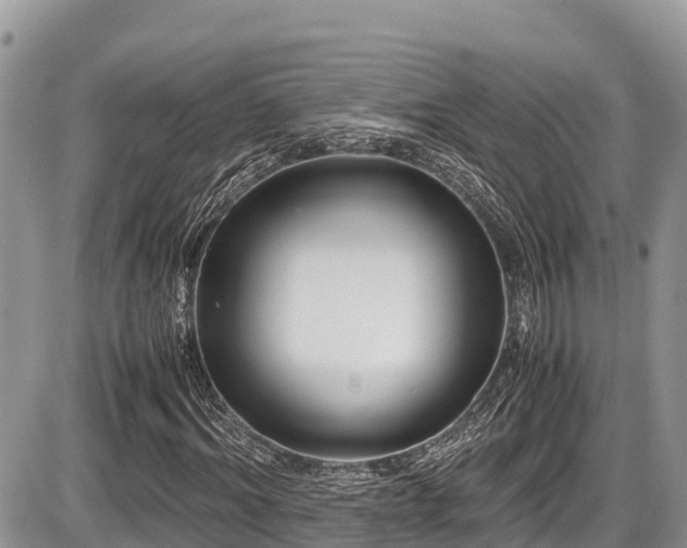X0000087400964200704201303