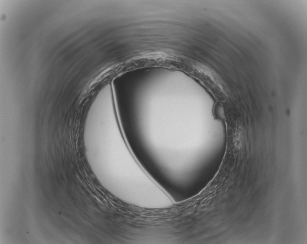 X0000087400968200704201303