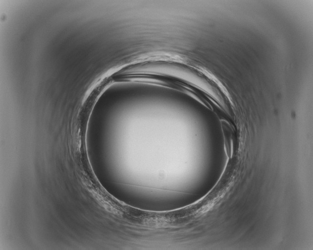 X0000087400973200704201303