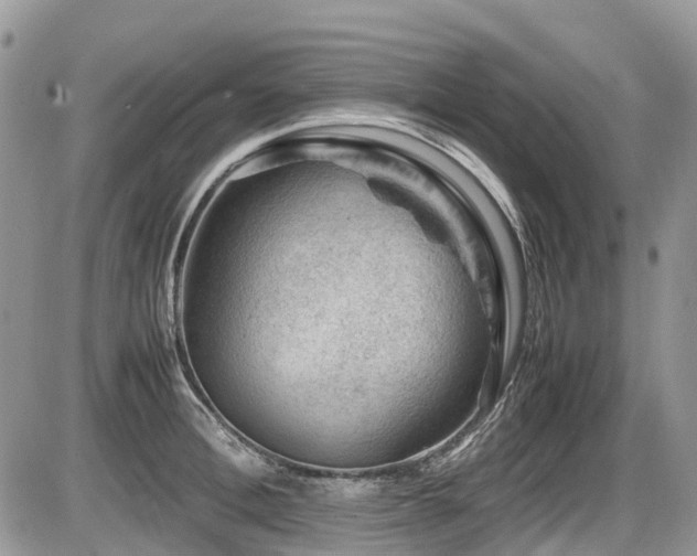 X0000087400996200704201303