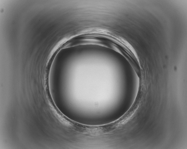 X0000087400997200704201303