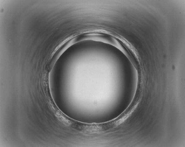 X0000087401001200704201303