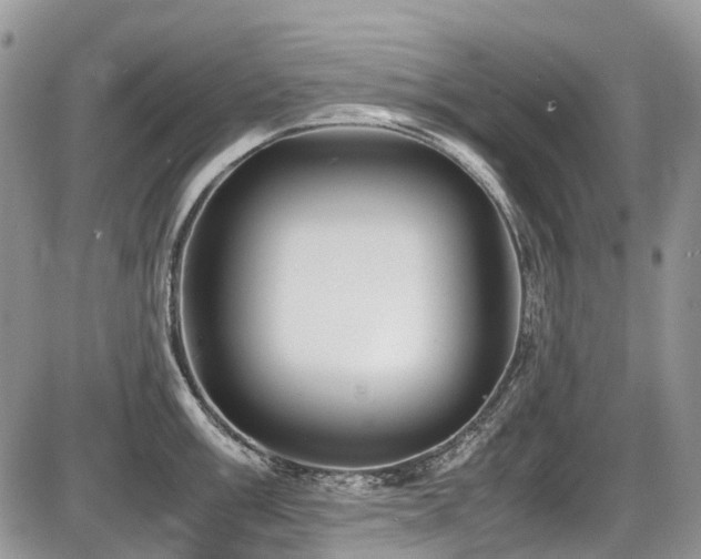 X0000087401003200704201303
