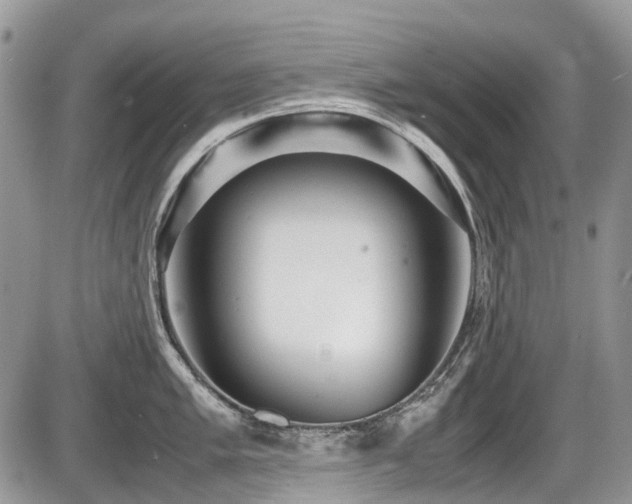 X0000087401005200704201303