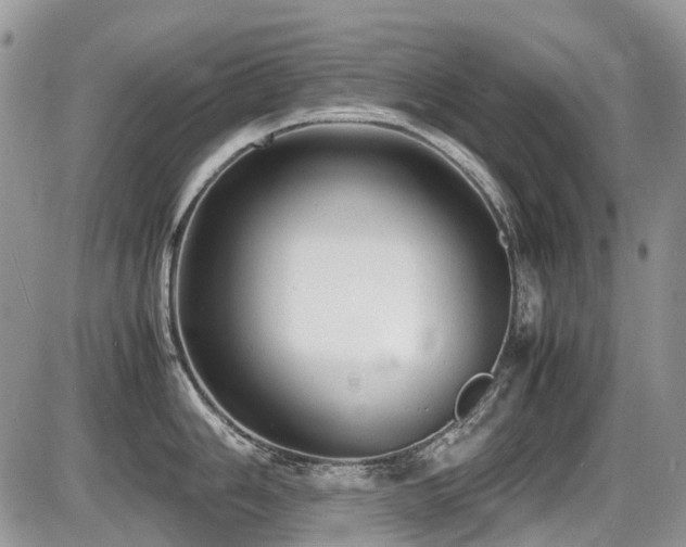 X0000087401006200704201303
