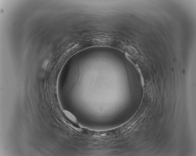 X0000087401009200704201302