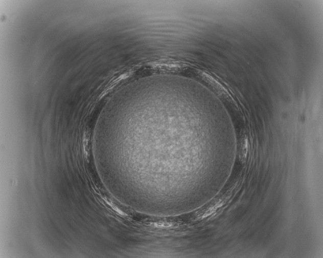 X0000087401010200704201302