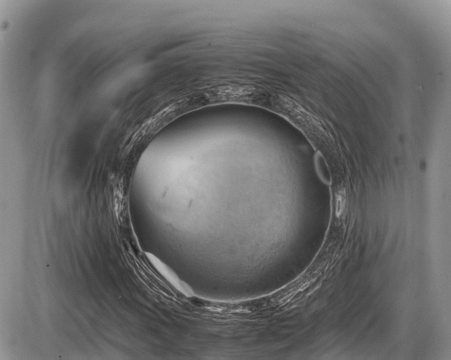 X0000087401011200704201302