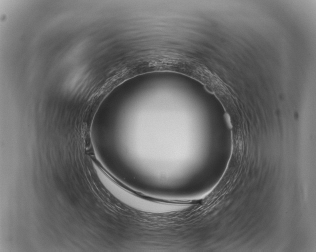X0000087401012200704201302