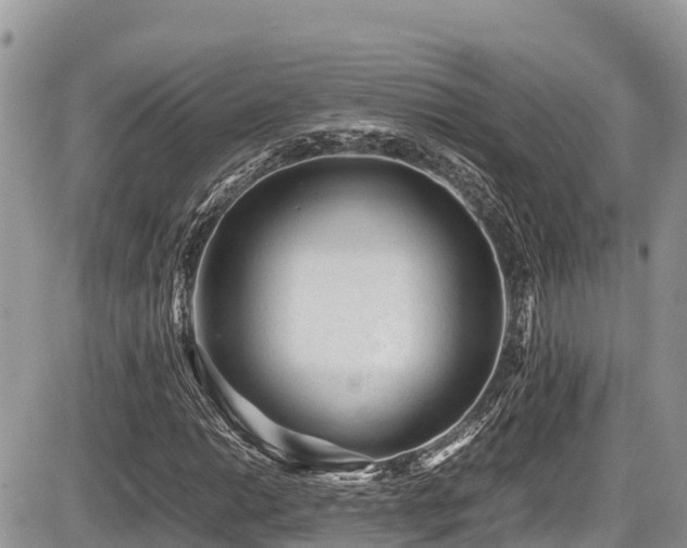 X0000087401014200704201302