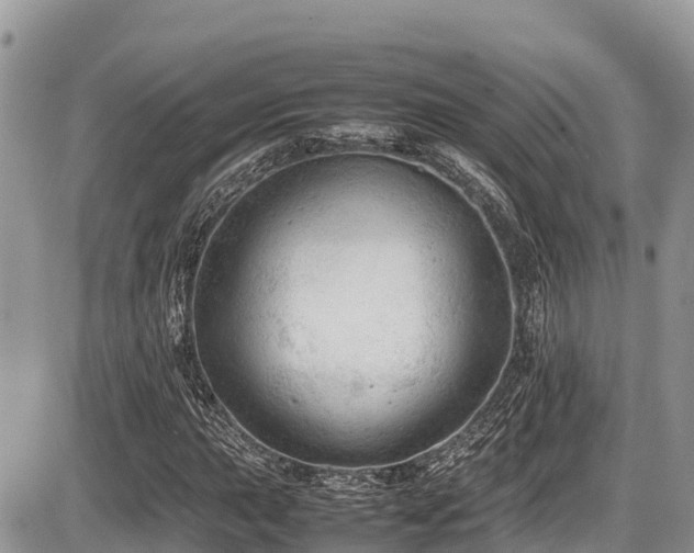 X0000087401015200704201302