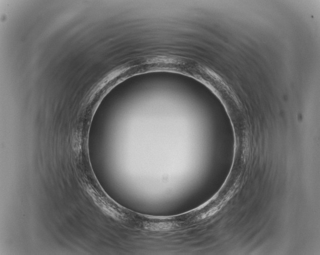 X0000087401017200704201302
