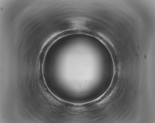 X0000087401021200704201302