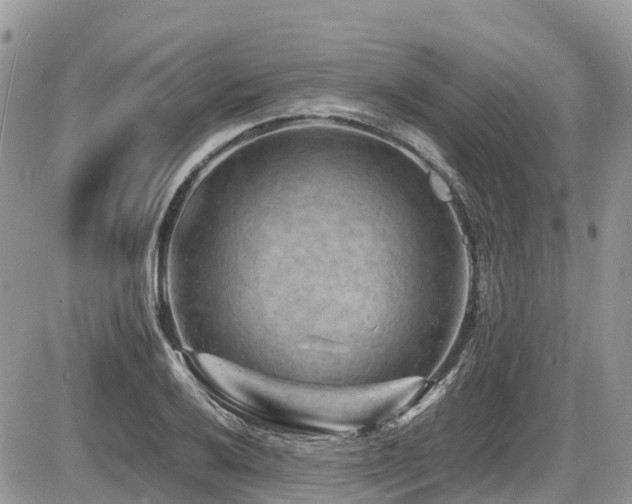 X0000087401032200704201302