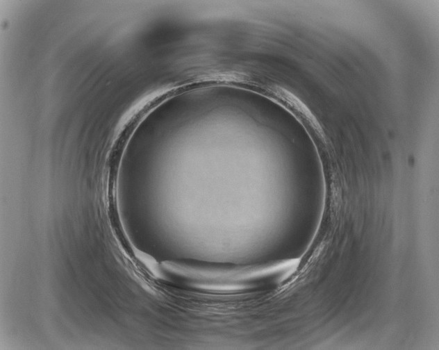 X0000087401035200704201302