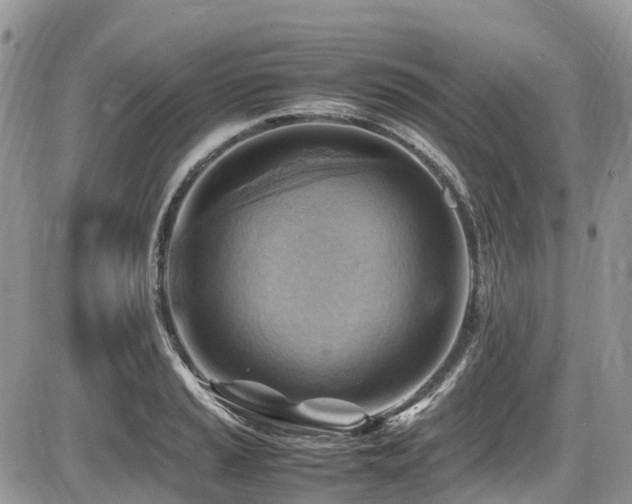 X0000087401037200704201302