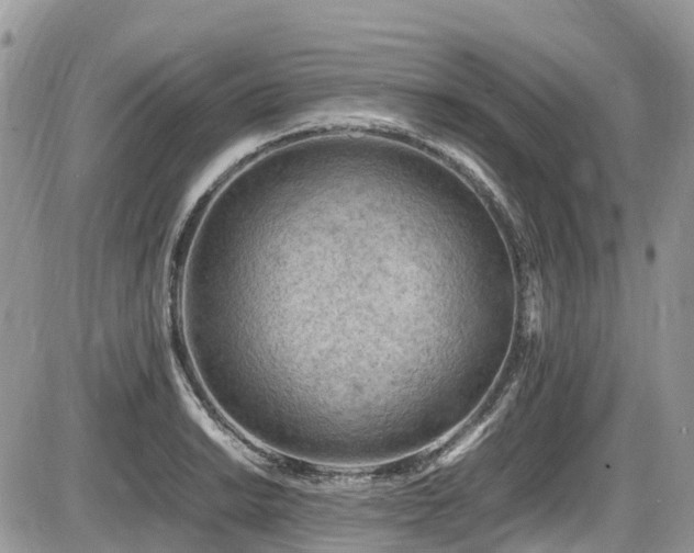 X0000087401038200704201302
