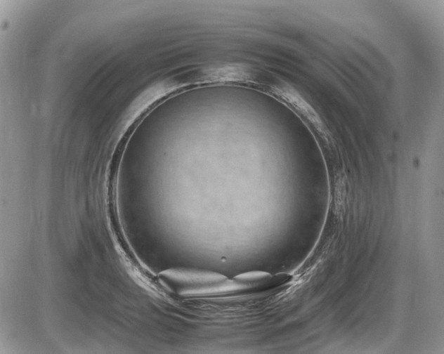 X0000087401039200704201302
