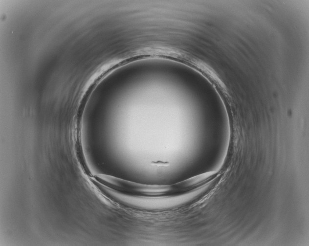 X0000087401040200704201302
