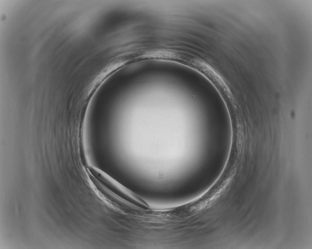 X0000087401041200704201302