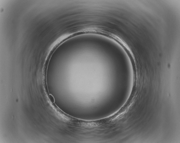 X0000087401045200704201302