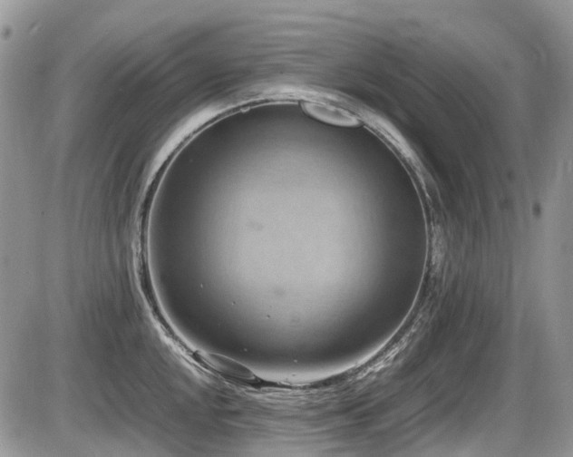 X0000087401048200704201302