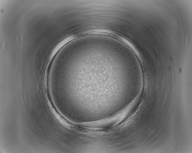 X0000087401050200704201302