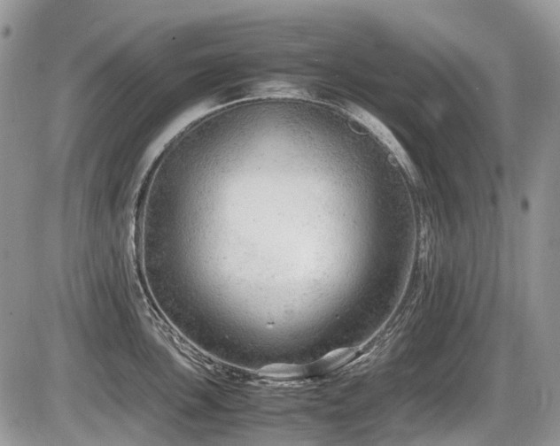X0000087401051200704201302