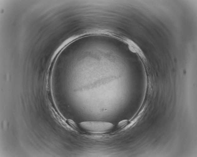 X0000087401052200704201302