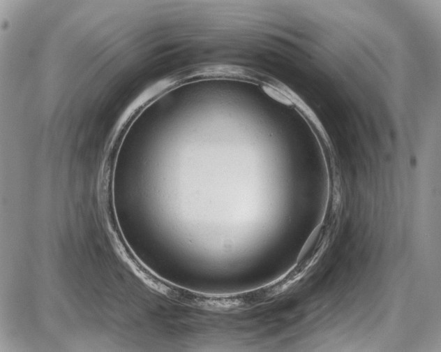 X0000087401053200704201302