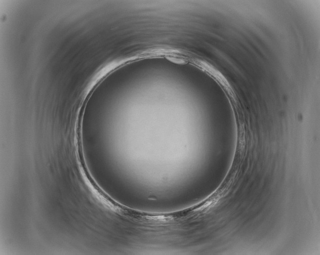 X0000087401055200704201302