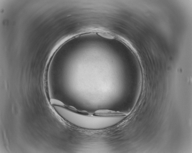 X0000087401056200704201302