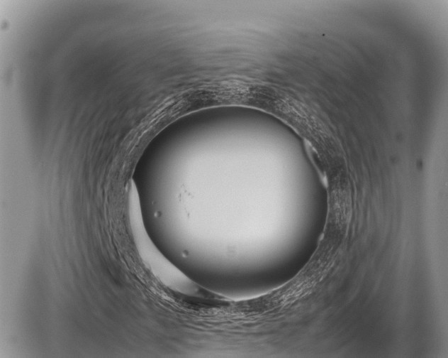 X0000087401057200704201302