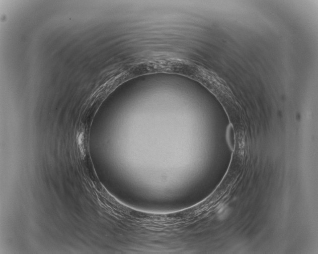 X0000087401060200704201302