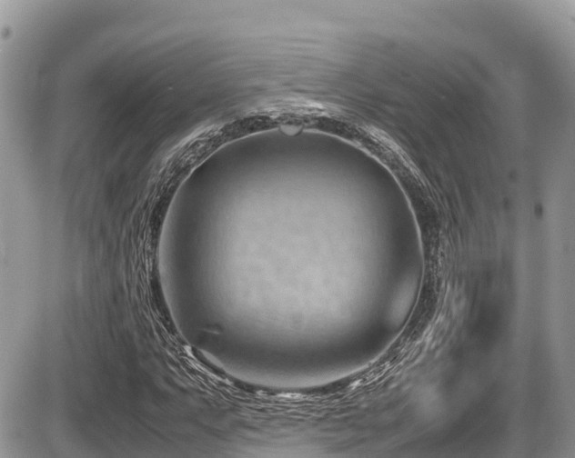 X0000087401063200704201302